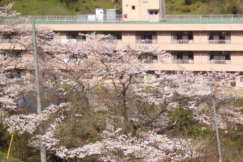 屋外