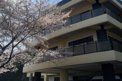屋外
