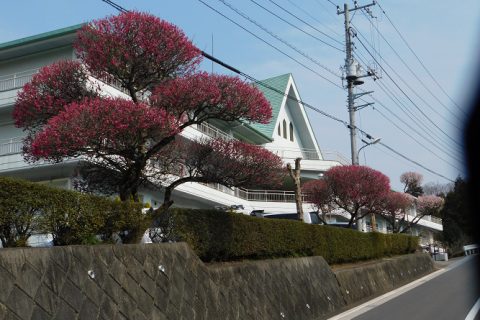 屋外