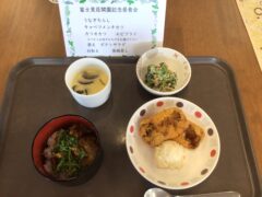 開園記念うなぎちらし御膳