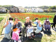 チューリップ見学