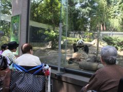 初夏の日帰り旅行（上野動物園）