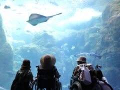 水族館へおでかけ