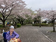 お花見
