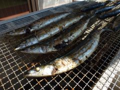 秋の味覚祭にはサンマなど