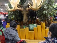 近くのイオンモールへ買い物外出