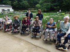 6月吹上しょうぶ公園花見（青梅市）