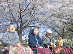 お花見