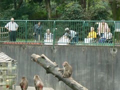 バスハイクで羽村動物園