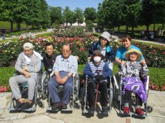 あきる台公園　バラ園に散歩にでかけ