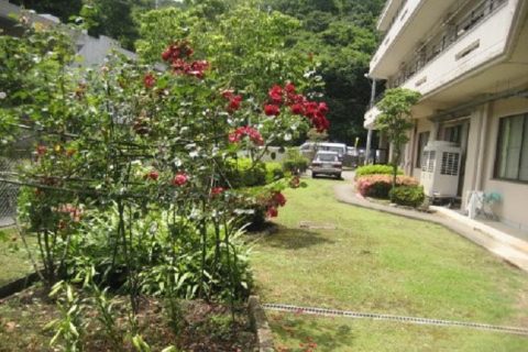 屋外
