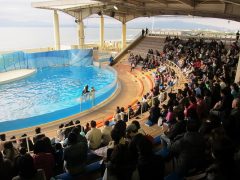 秋の日帰り旅行（江ノ島水族館）