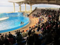 秋の日帰り旅行（江ノ島水族館）